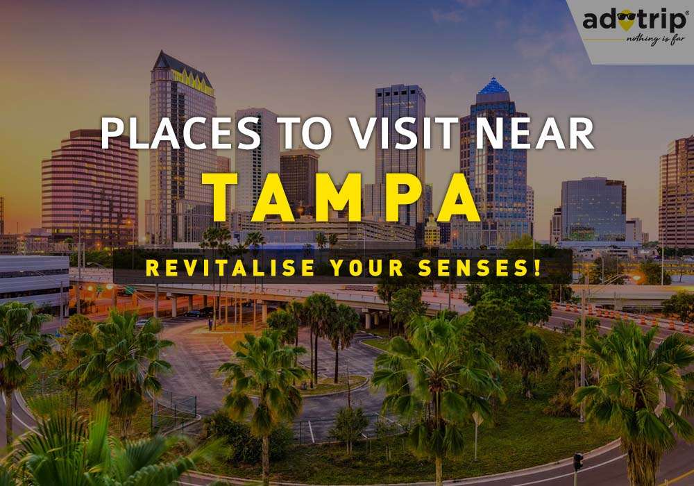 Places to Visit Near Tampa